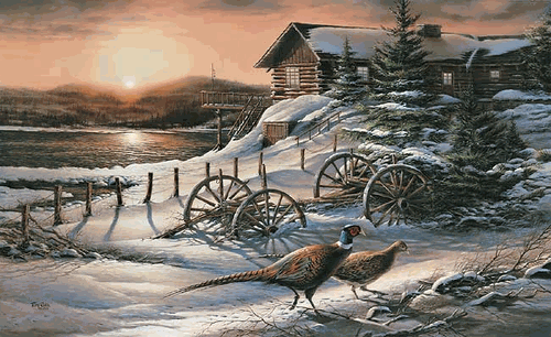 (image for) Peaceful Evening Encore Canvas